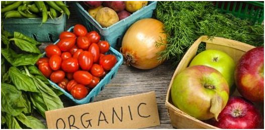 Gaya Hidup Sehat Dengan Makanan Organik